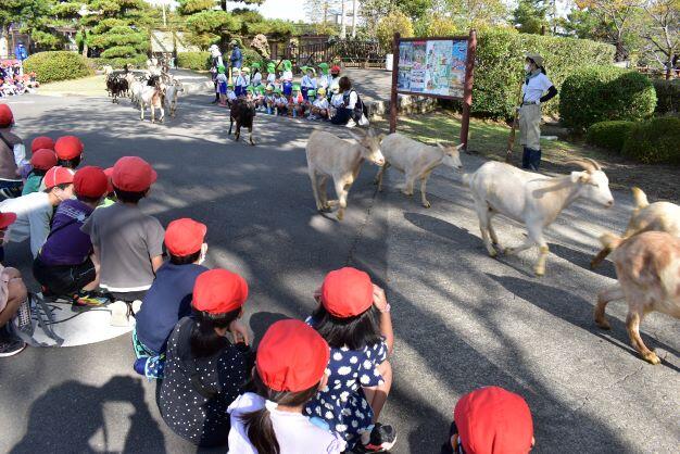 フェニックス自然動物園