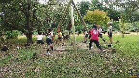 アスレチックの様子