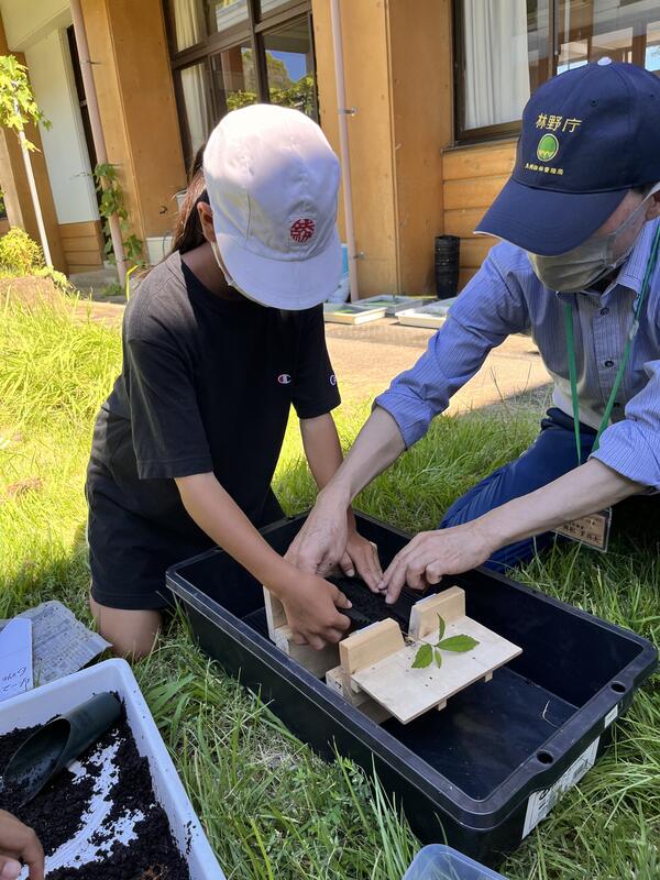 海苔巻きみたいにくるくる巻きます