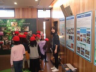 一階には、綾の森に住むいろいろな生き物が展示されています。