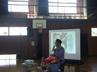 ラナンキュラスについて、詳しくお話を聞きました。