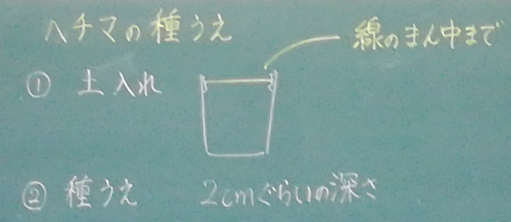 １２：２０予想