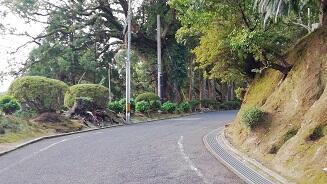 １１１１１１１