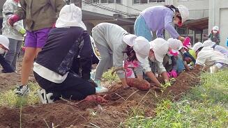 １１１１１６６６６６