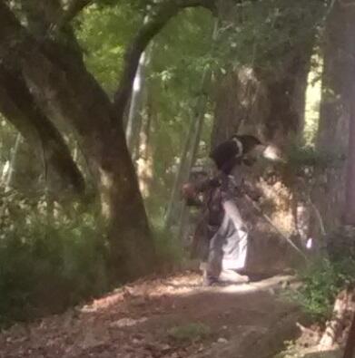 １３１１１１１