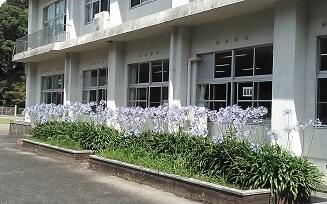 １４４４１１１