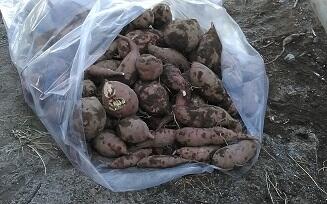 １４３４６５７