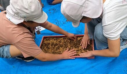 ５４４３２３１