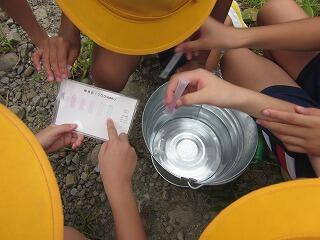 パックテストの様子