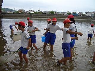 水質調査の様子