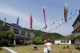 鯉のぼり