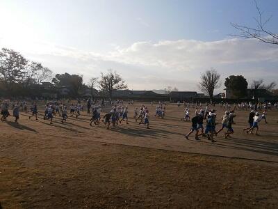 走っている様子です。