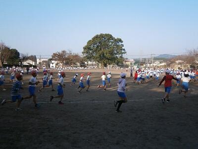 みんながんばって走っています。