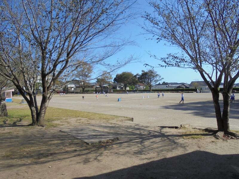 クラブ活動④の様子