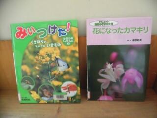 きれいなカマキリを初めて見ました