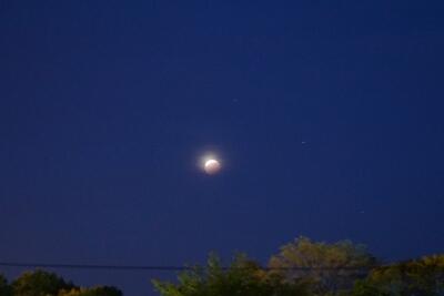 北海道に住む家族から送ってもらいました