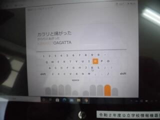 カラリと揚がった...唐揚げ？