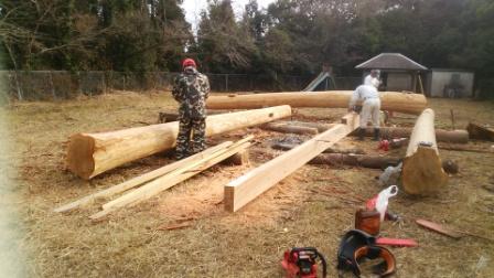 とりい1 とりい1