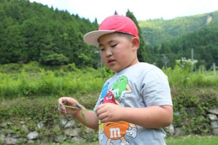 田んぼの草取り