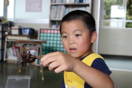 かぶおくん誕生