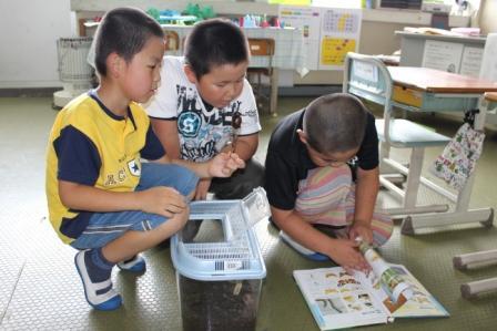 かぶおくん誕生