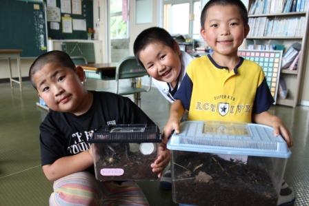 かぶおくん誕生