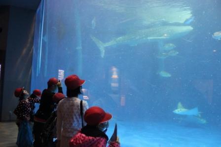 鹿児島水族館