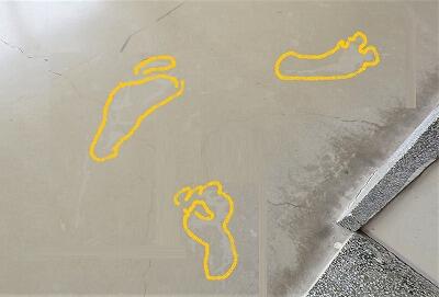 黄色く縁取った部分です