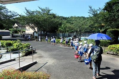 どんな生き物が見つかるかな