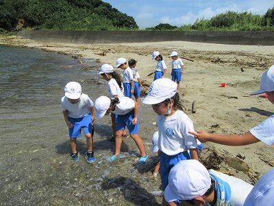 生き物が見つかったかな?!