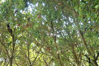 どこにあるかな?!