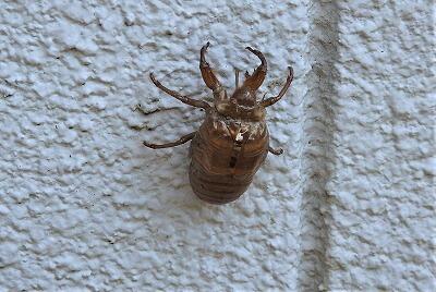 体育館の壁にも!!