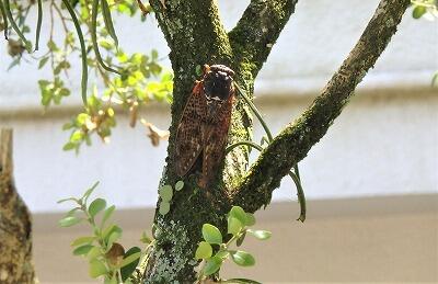 耐えて、ひらく!!