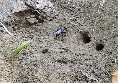 はなれていますね