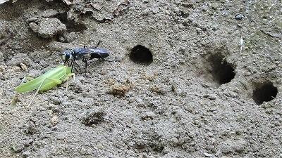 あとすこし…。