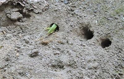 この関係をなんというかな?!