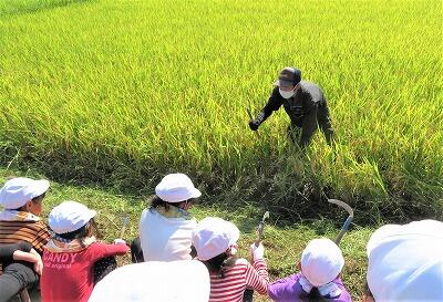 かまの使い方を教わりました