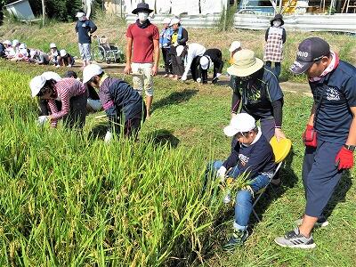うまく、刈れるかな?!