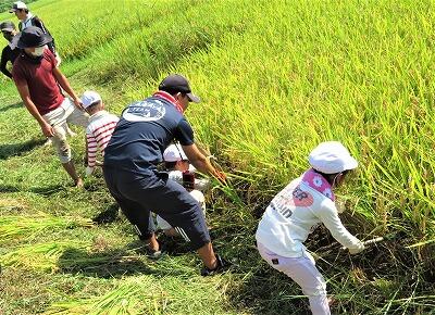 上手にできました!!