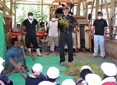 脱穀の仕方を教わりました