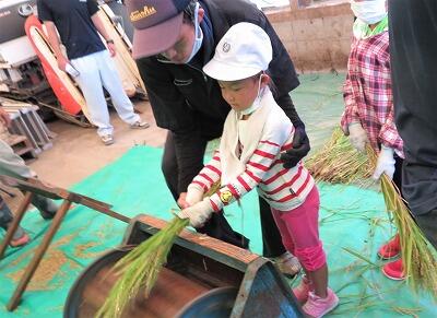 初めての脱穀体験