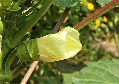 ここで分かれば、８０点