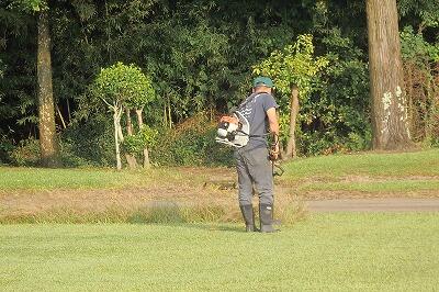 築山の裏の草払いもしてくださいました