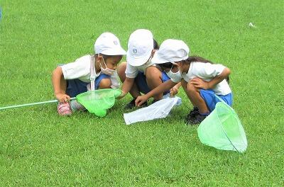 なに、なに?! なんのむし?!