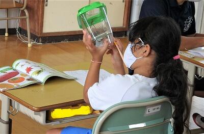 じ～っと見てみると…。