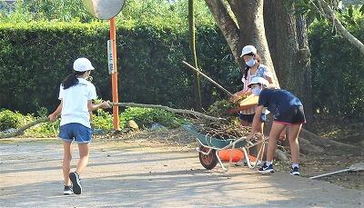 長い枝も落ちていました