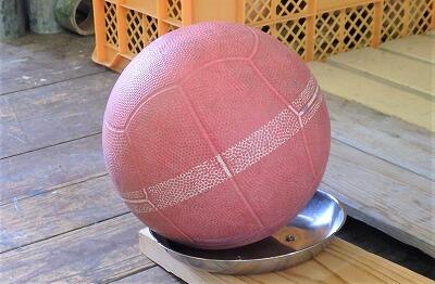 このボールをどうする?!