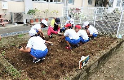 一生懸命ですね