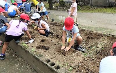 きれいな花が咲きますように