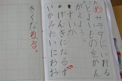 だから、真剣だったのですね